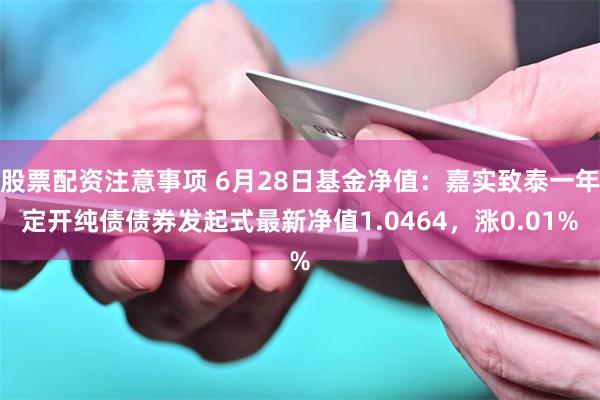 股票配资注意事项 6月28日基金净值：嘉实致泰一年定开纯债债券发起式最新净值1.0464，涨0.01%