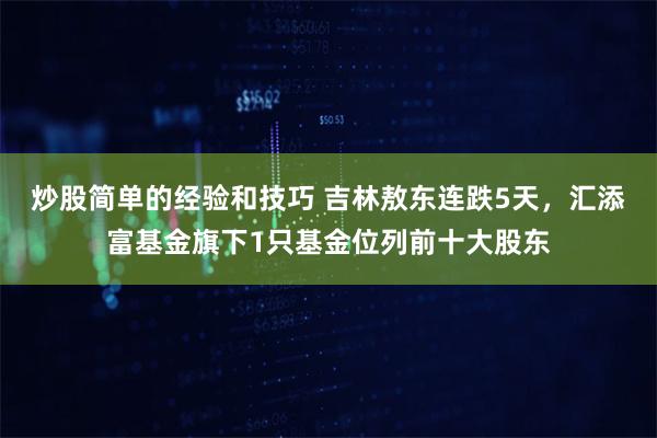 炒股简单的经验和技巧 吉林敖东连跌5天，汇添富基金旗下1只基金位列前十大股东